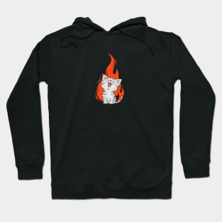 Cat in Fire Hoodie